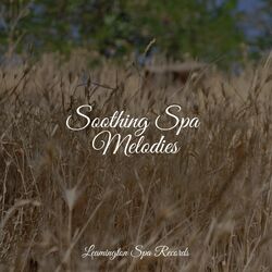 Cover of Soothing Spa Melodies
