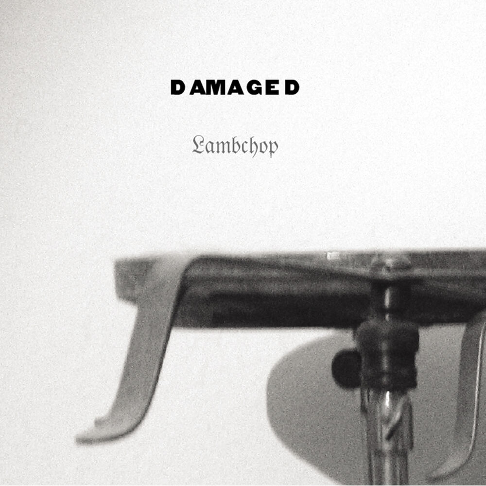 Picture of Damaged