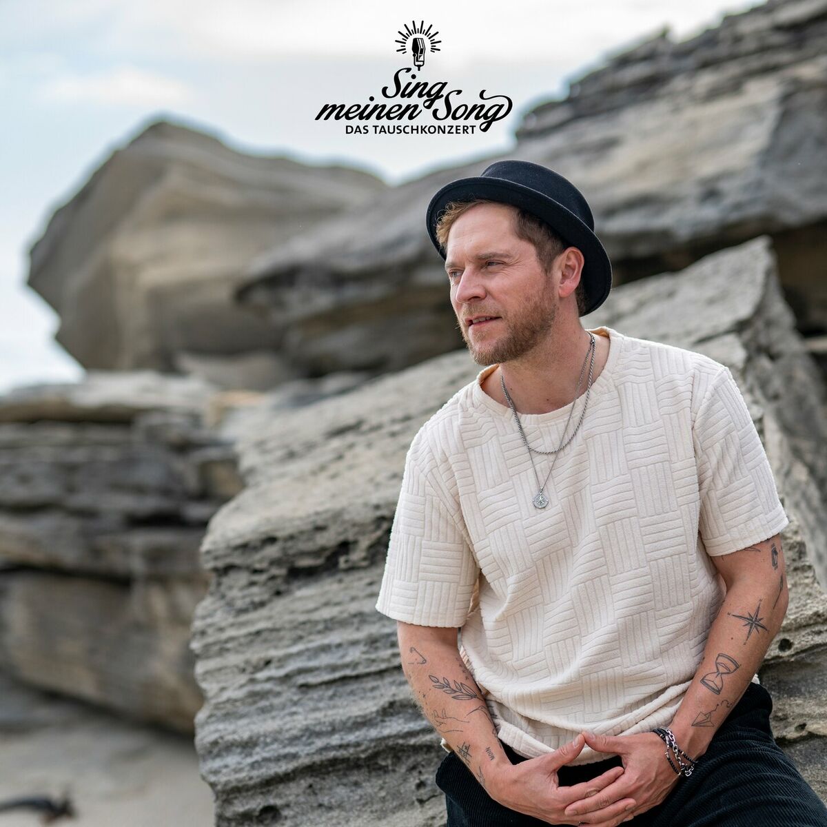 Album cover of Perfekte Welle (aus 