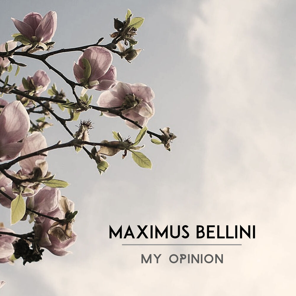 Picture of My Opinion