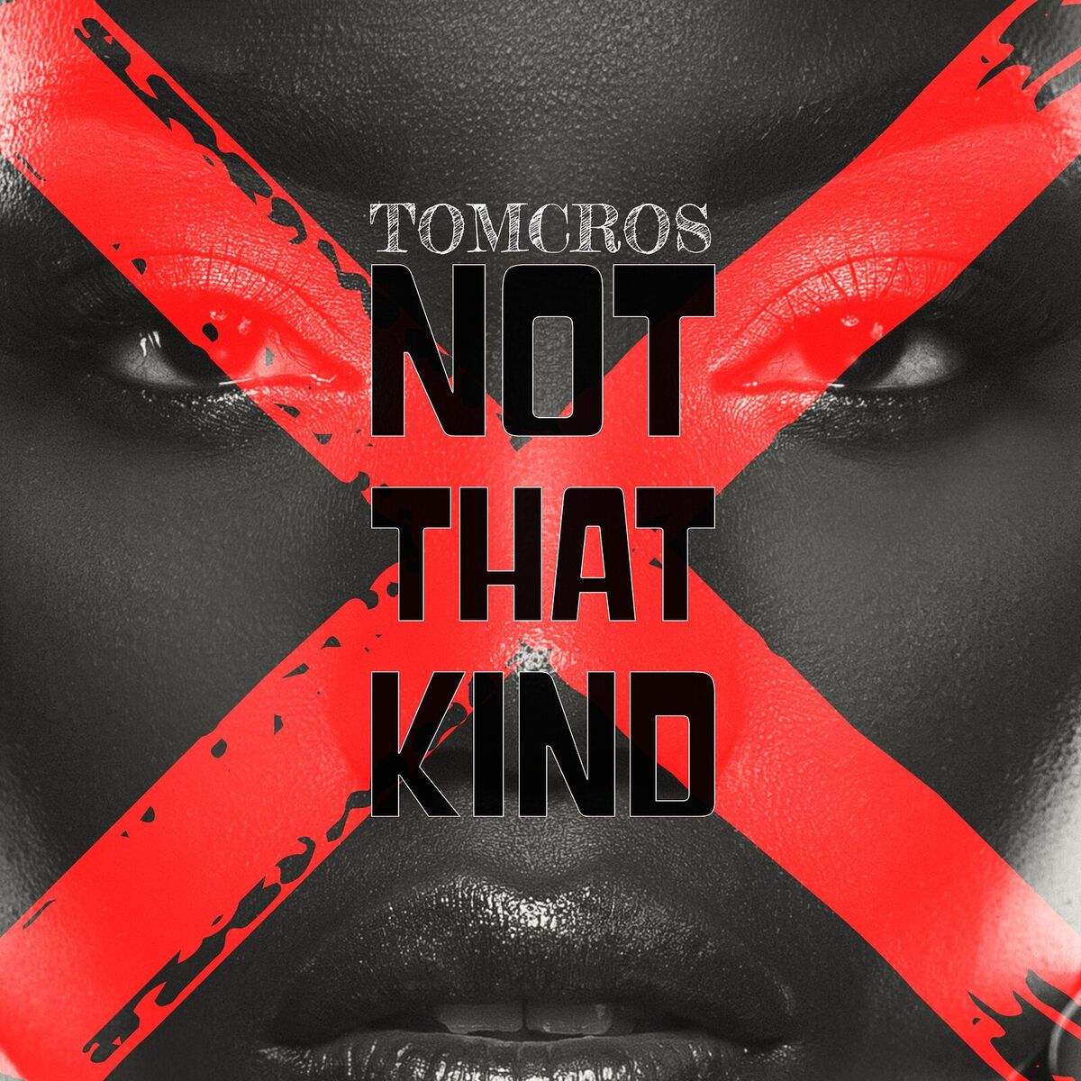 Album cover of Not That Kind
