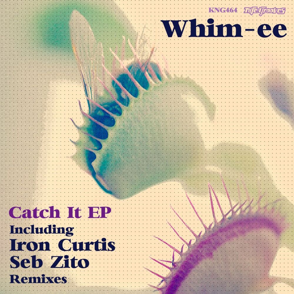 Picture of Catch It EP