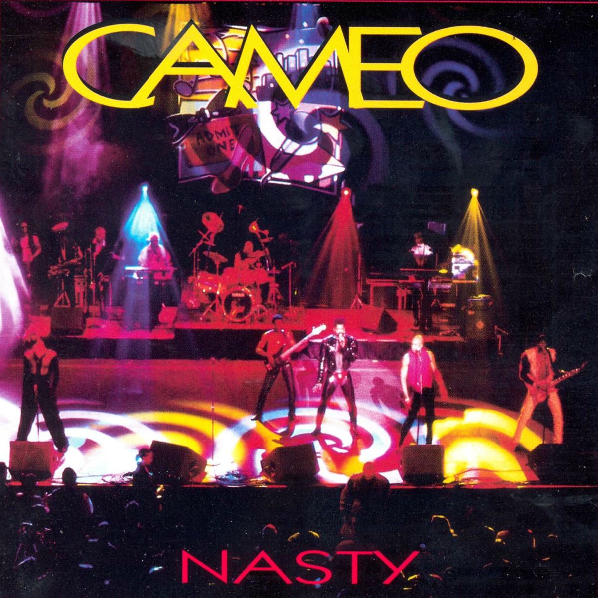 Album cover of Nasty