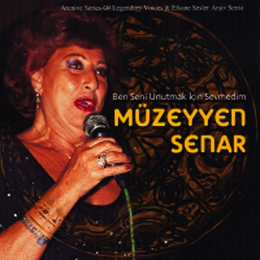 Picture of Ben Seni Unutmak Için Sevmedim