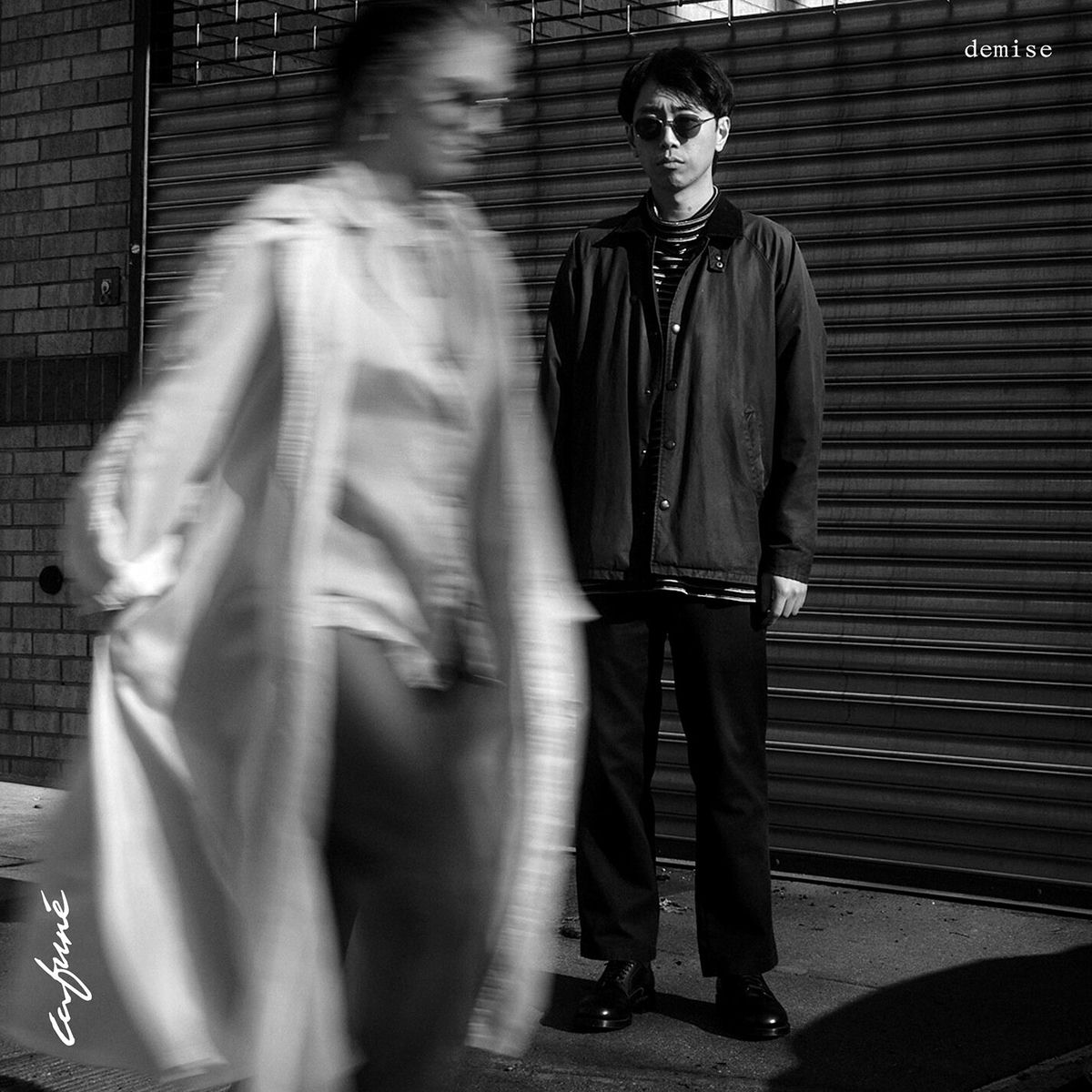 Album cover of Demise