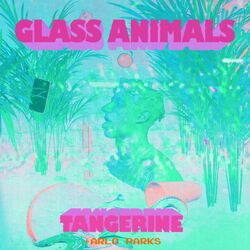 Cover of Tangerine