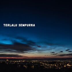 Cover of Terlalu Sempurna (Live)