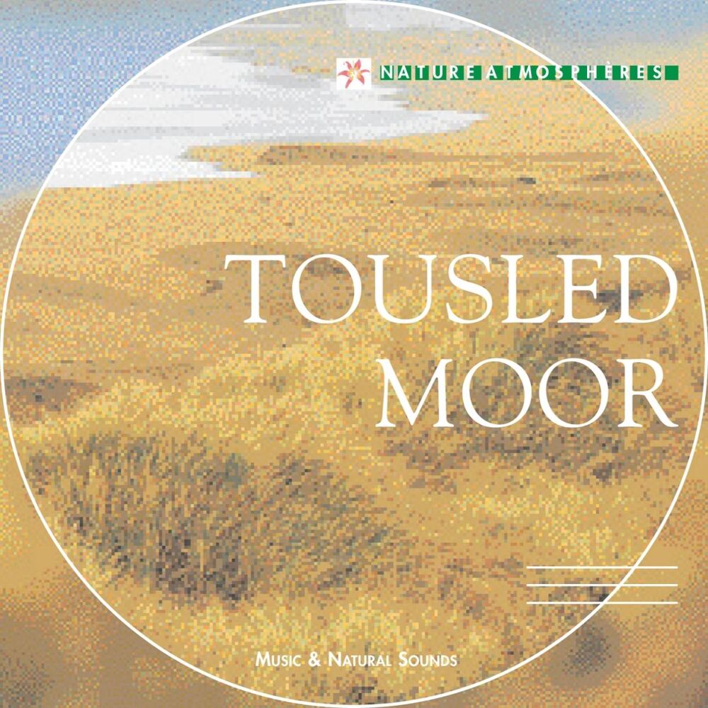 Picture of Nature Atmosphere: Tousled Moor (Celtic Dreams)