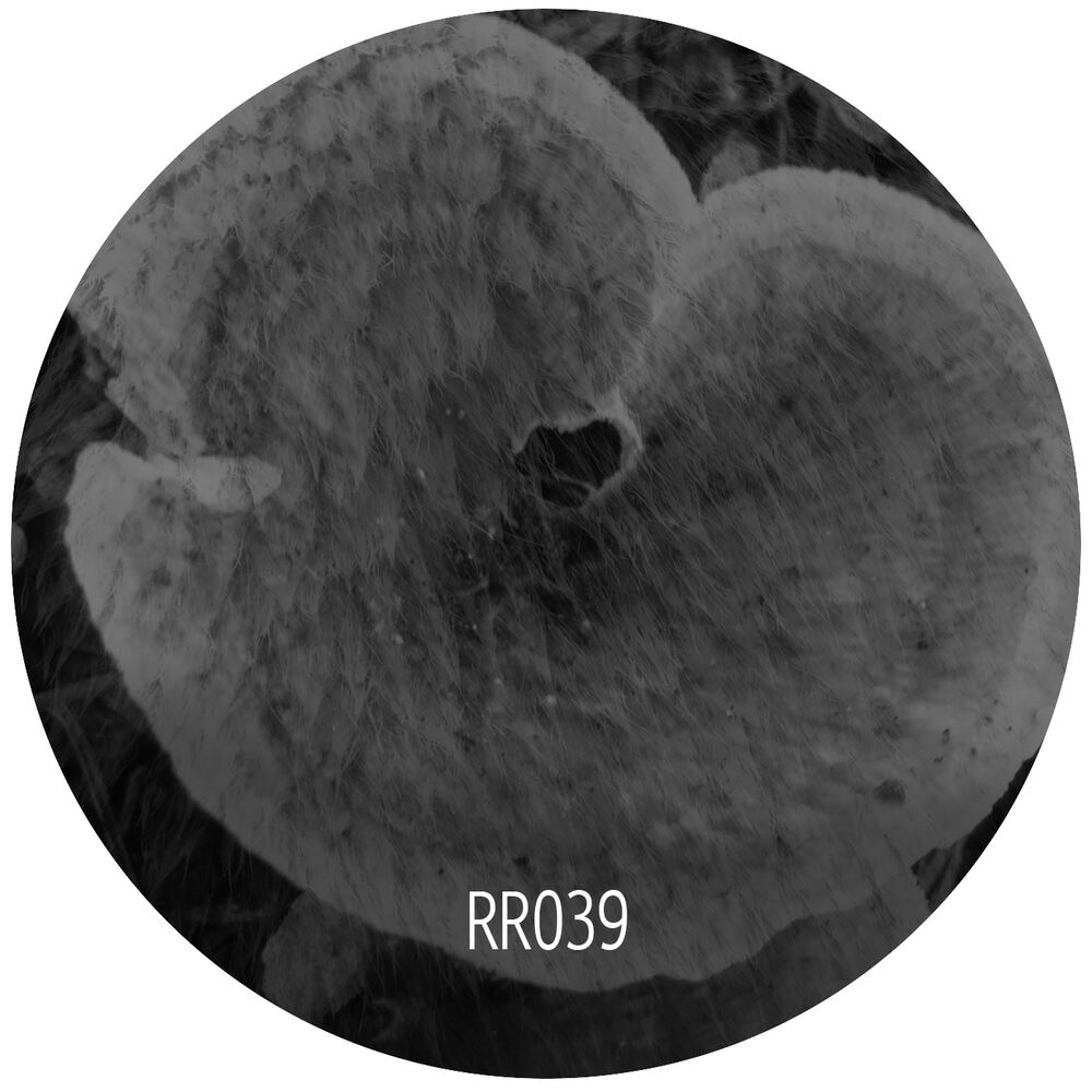 Picture of Testata Nucleare EP