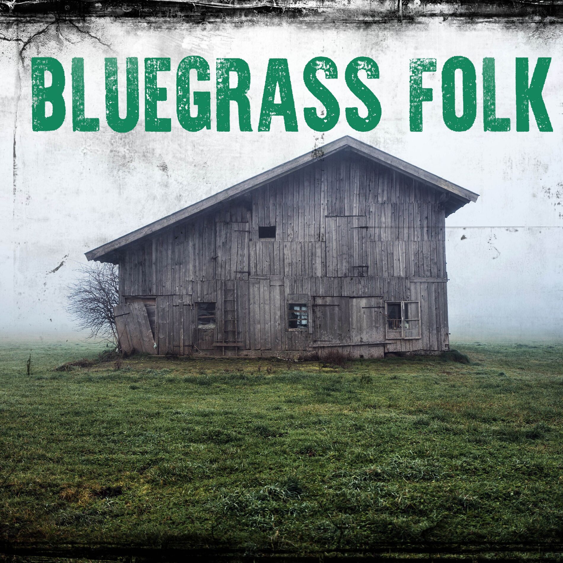 Album cover of Bluegrass Folk