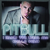 Pitbull - I Know You Want Me (Calle Ocho) (More English Extended Mix) album artwork