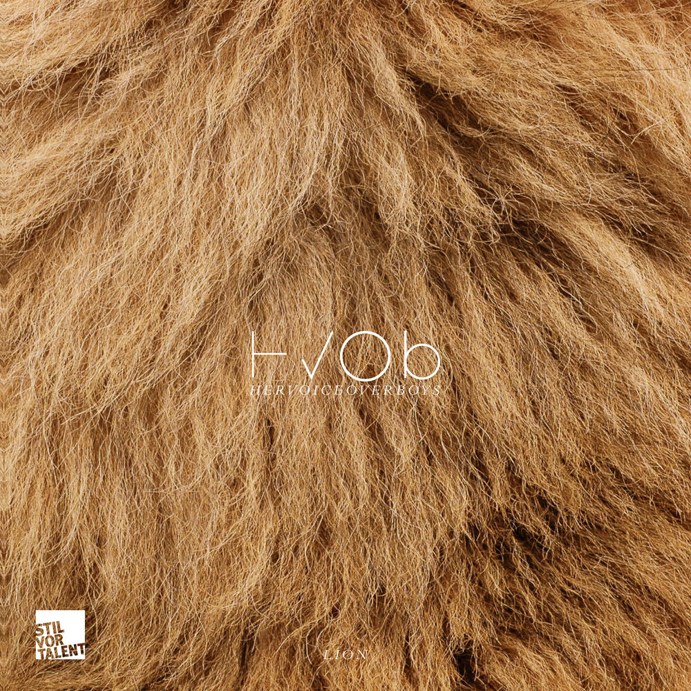 Picture of Lion