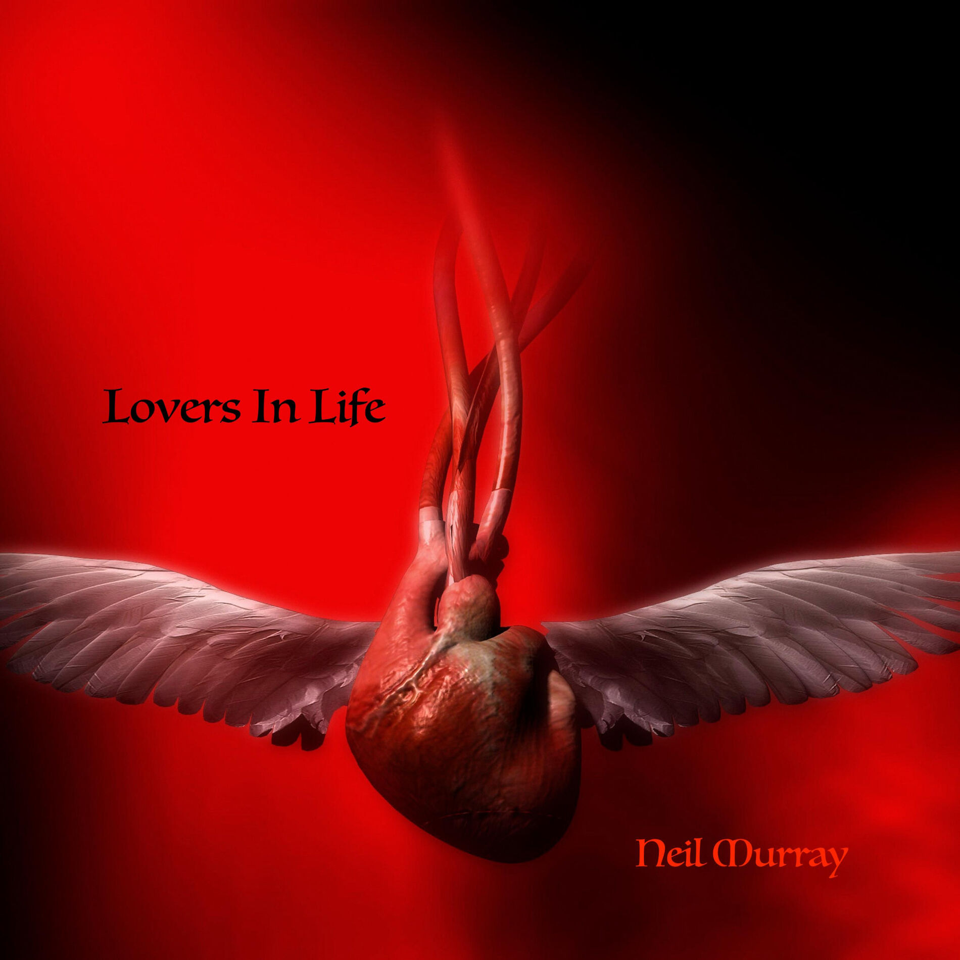 Album cover of Lovers in Life