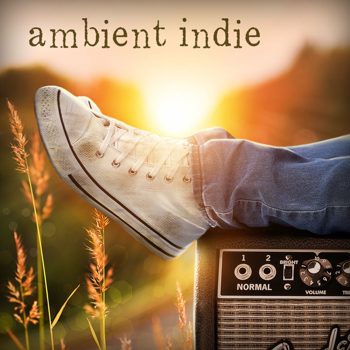 Album cover of Ambient Indie