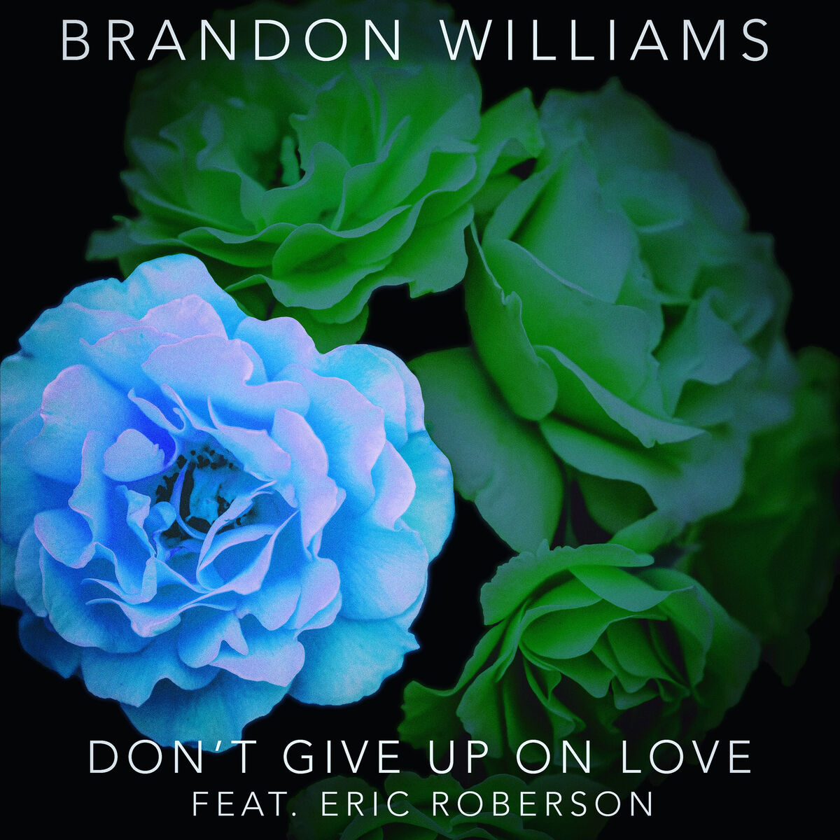 Album cover of Don't Give Up On Love
