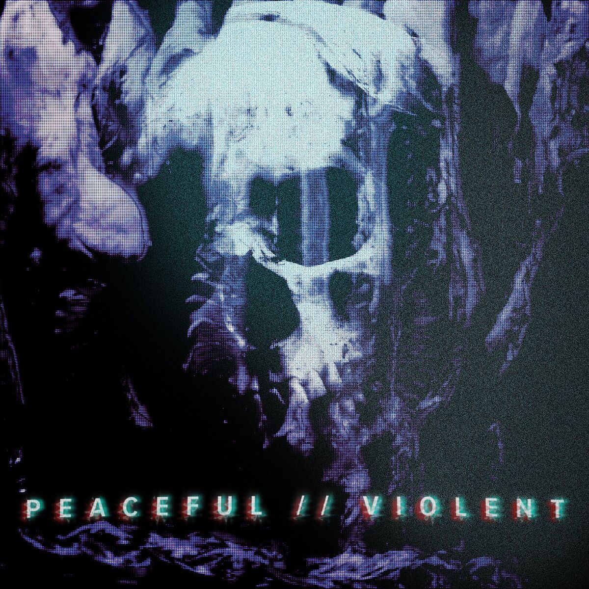Album cover of Peaceful // Violent