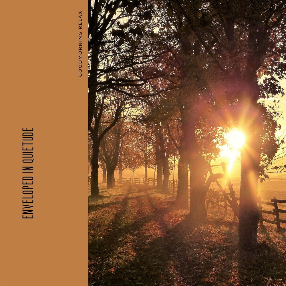 Picture of Enveloped in Quietude: Haven of Hush with 432 Hz
