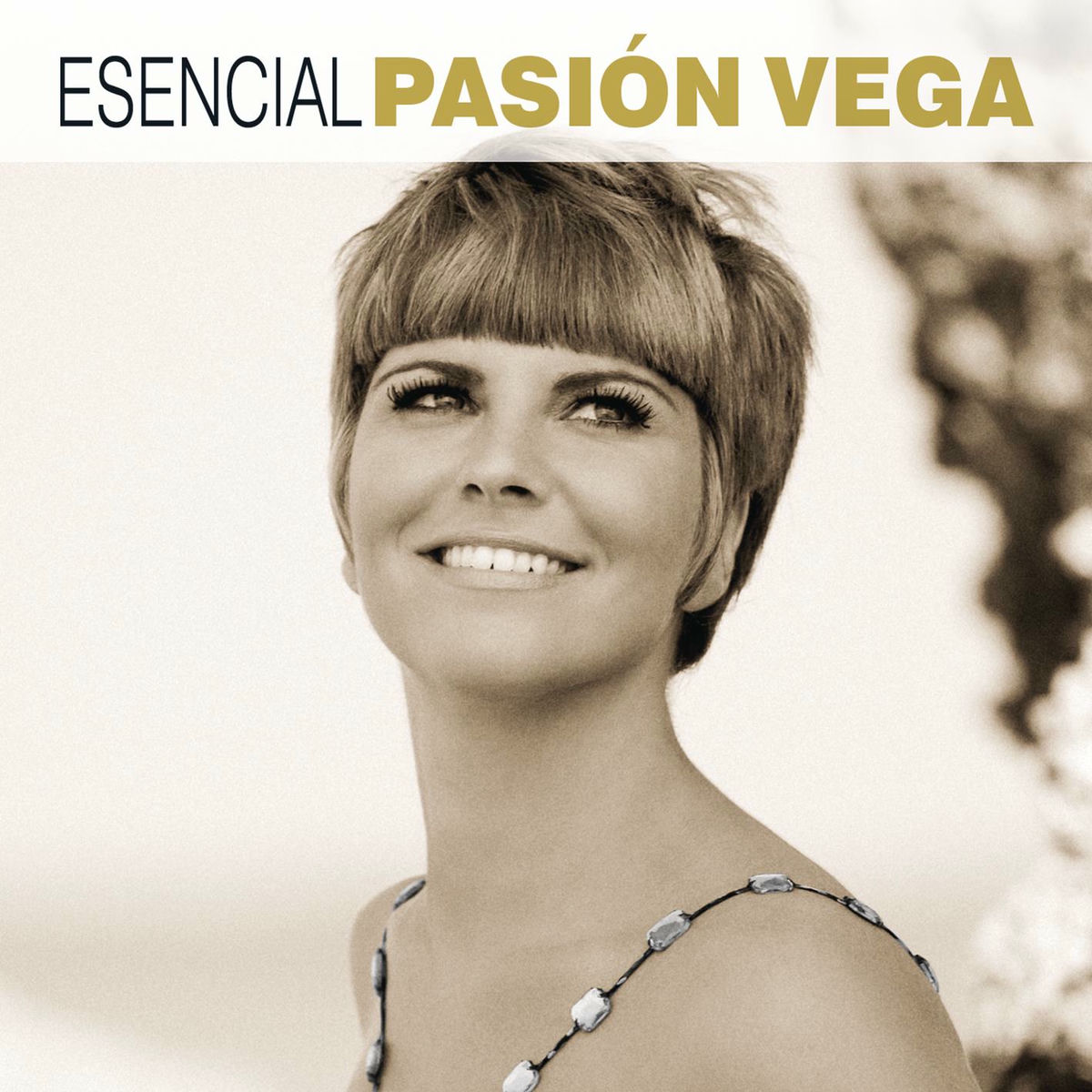 Album cover of Esencial Pasión Vega