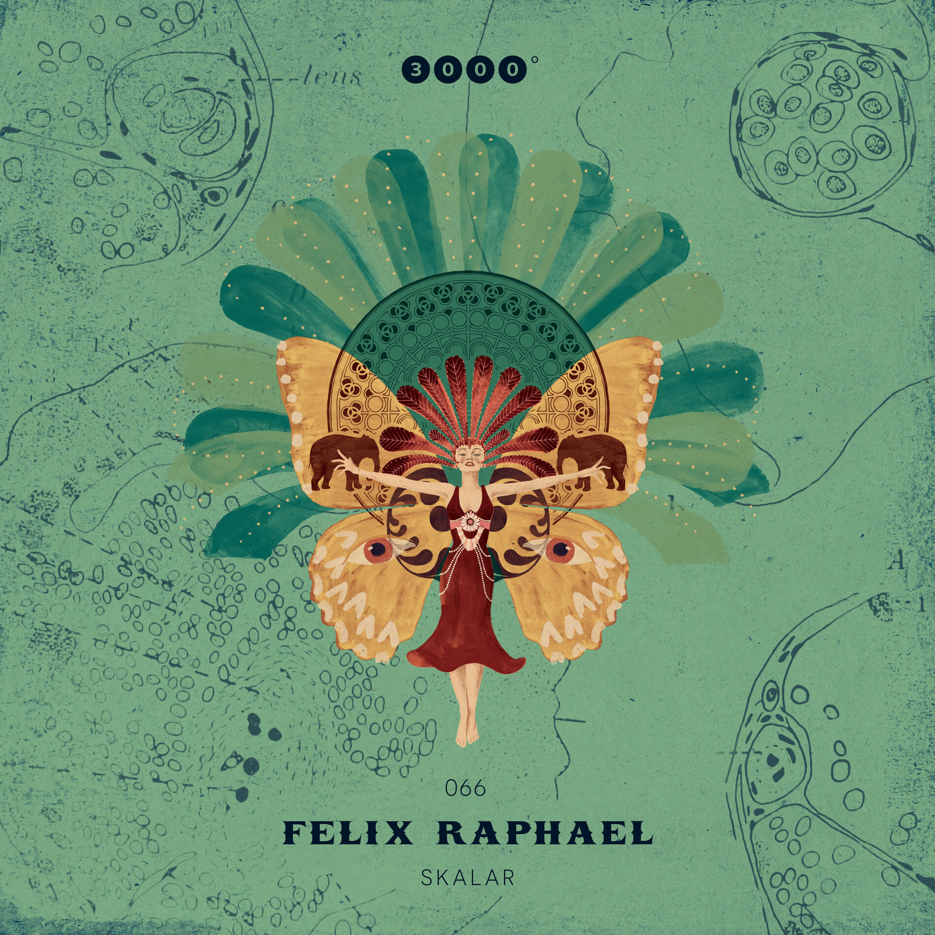 Album cover of Skalar