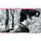 Poses by Rufus Wainwright album cover