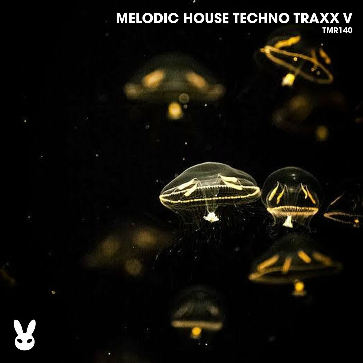 Album cover of Melodic House Techno Traxx V