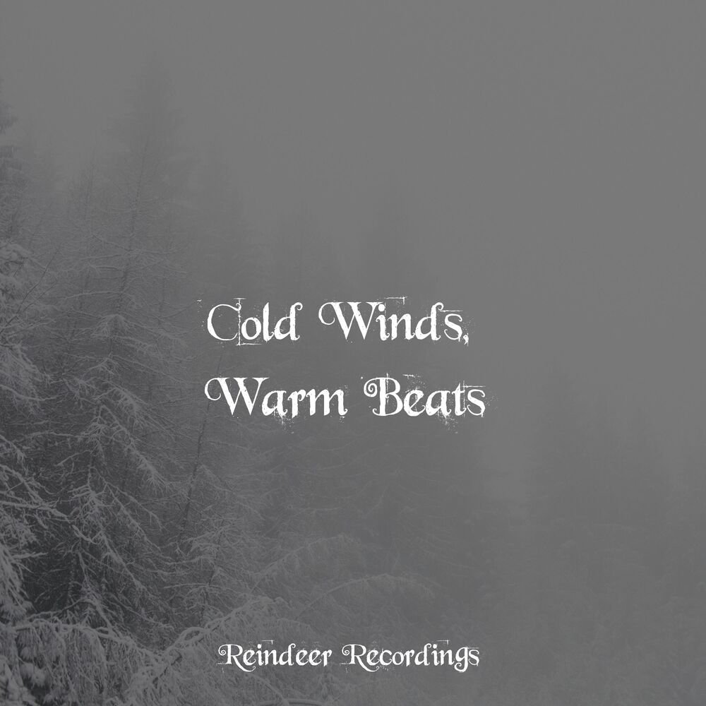 Picture of Cold Winds, Warm Beats