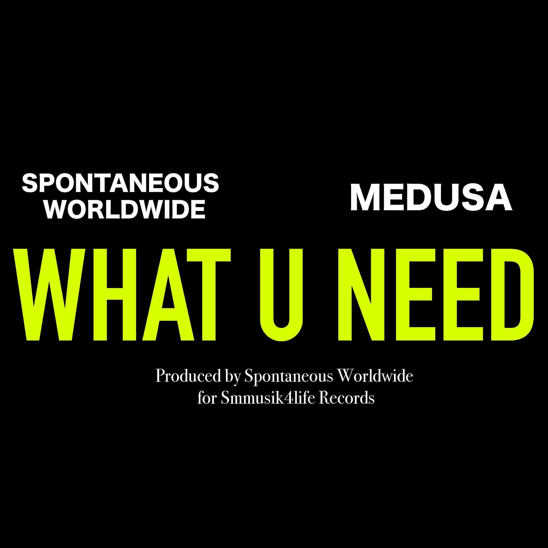 Album cover of WHAT U NEED (feat. MEDUSA)