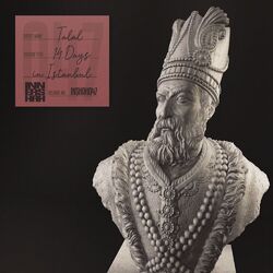 Cover of 14 Days in Istanbul