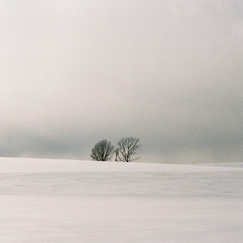 ZO ZAZZ – Don`t you know – Single