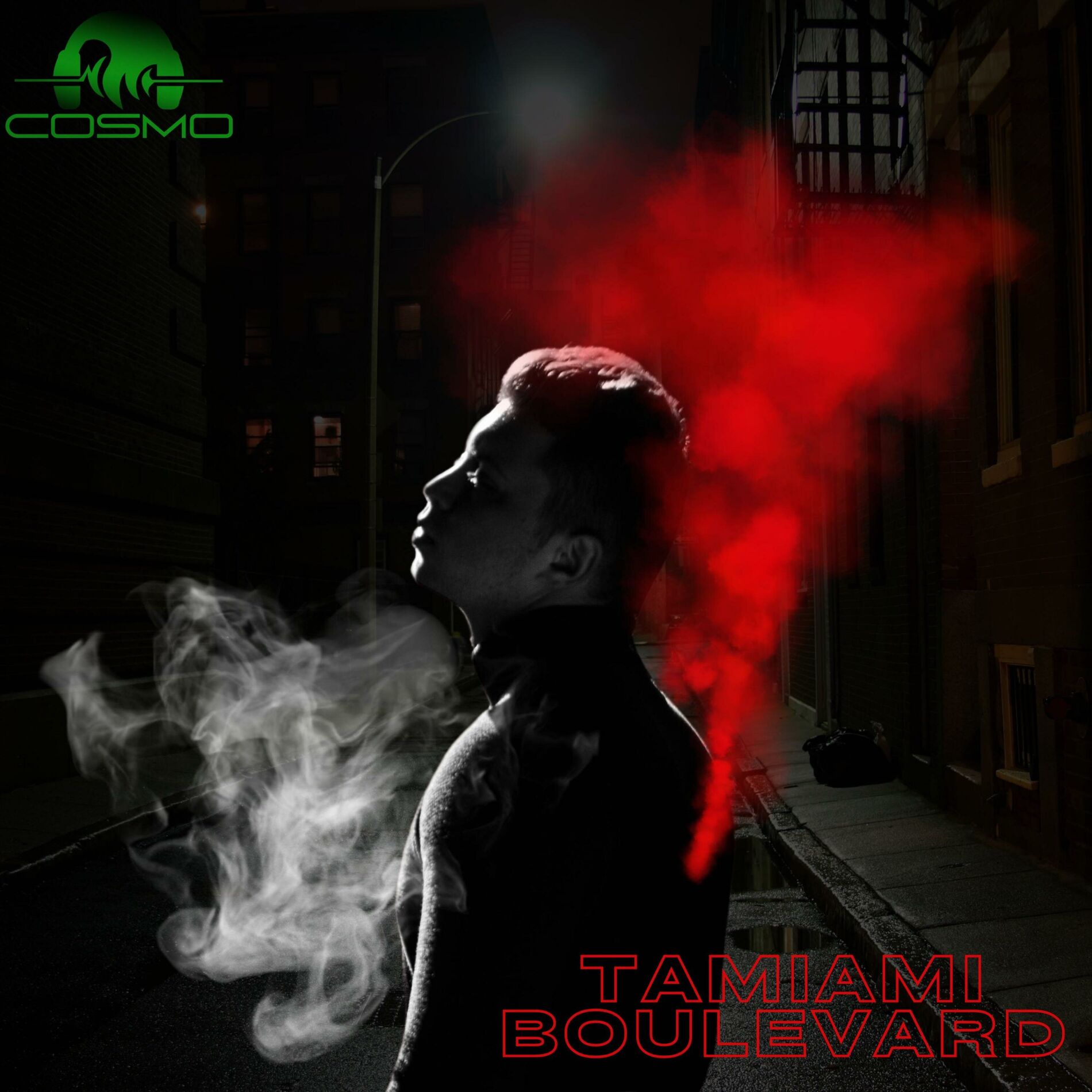 Album cover of Tamiami Boulevard