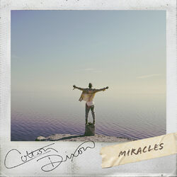 Cover of Miracles