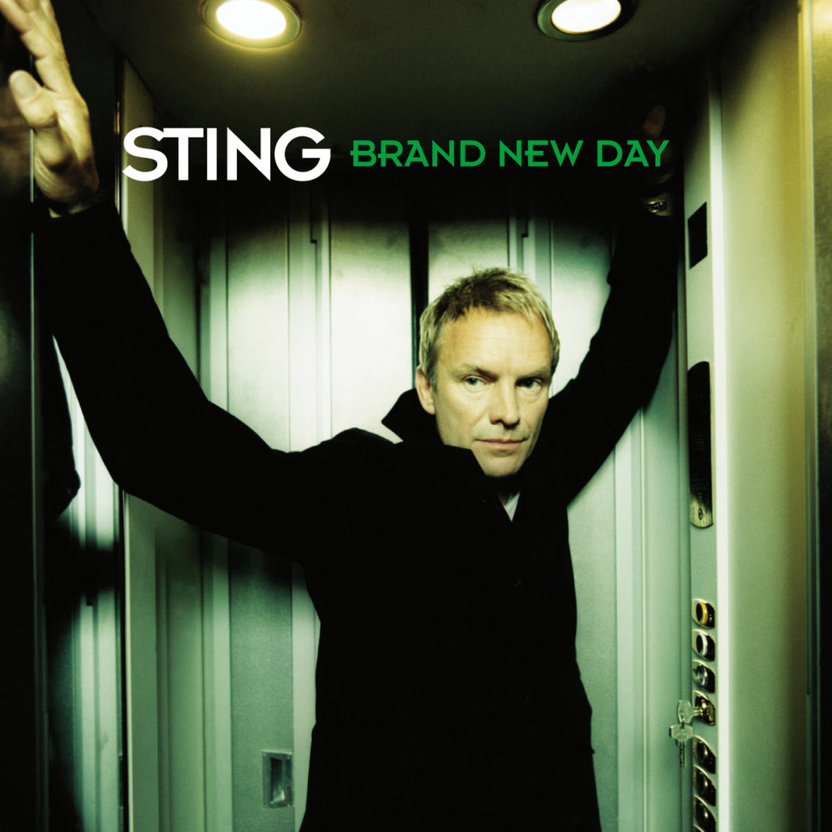 Album cover of Brand New Day