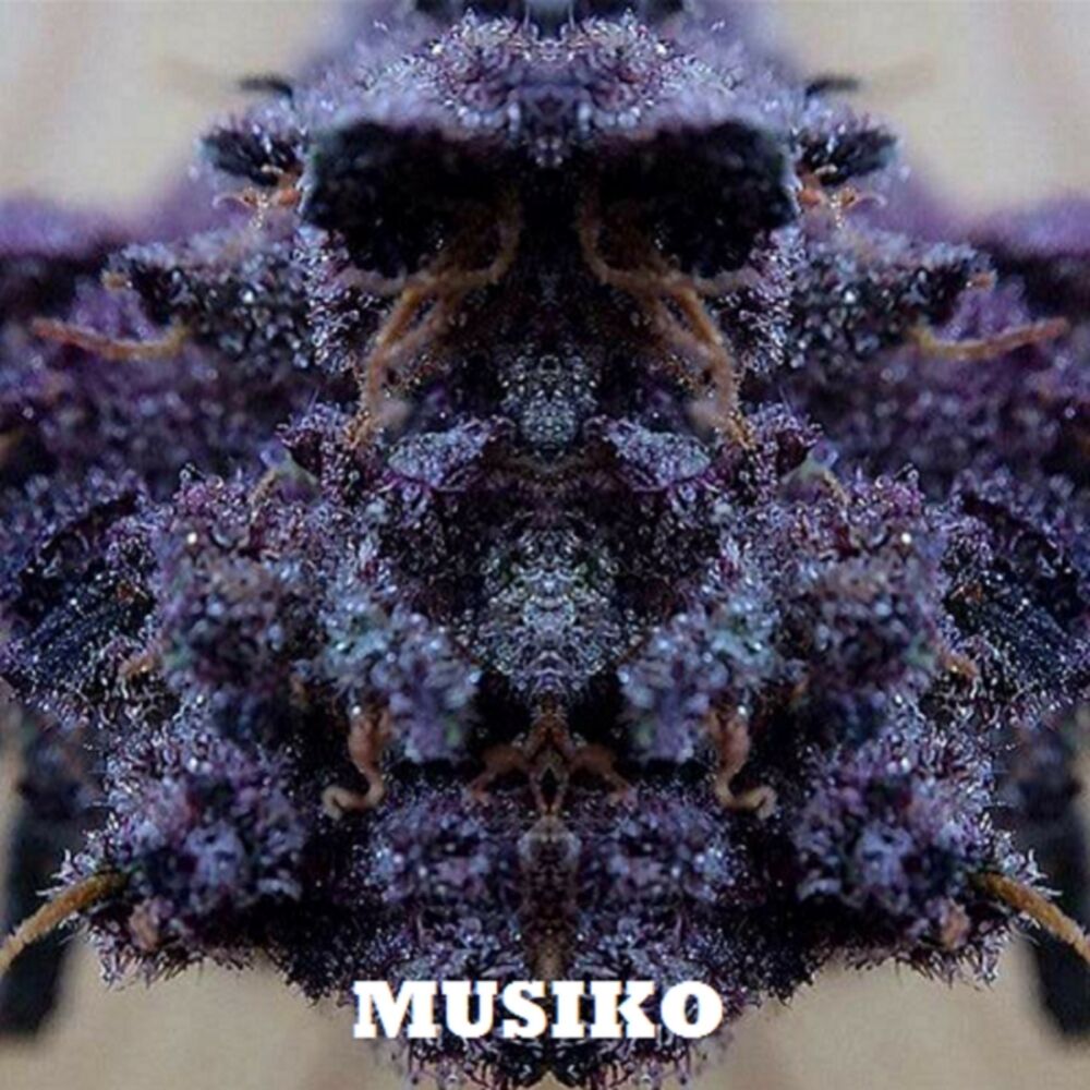 Picture of Melodyeah
