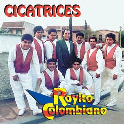 Cover of Cicatrices