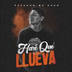 Cover of Haré Que Llueva