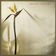 On Islands by New Musik album cover