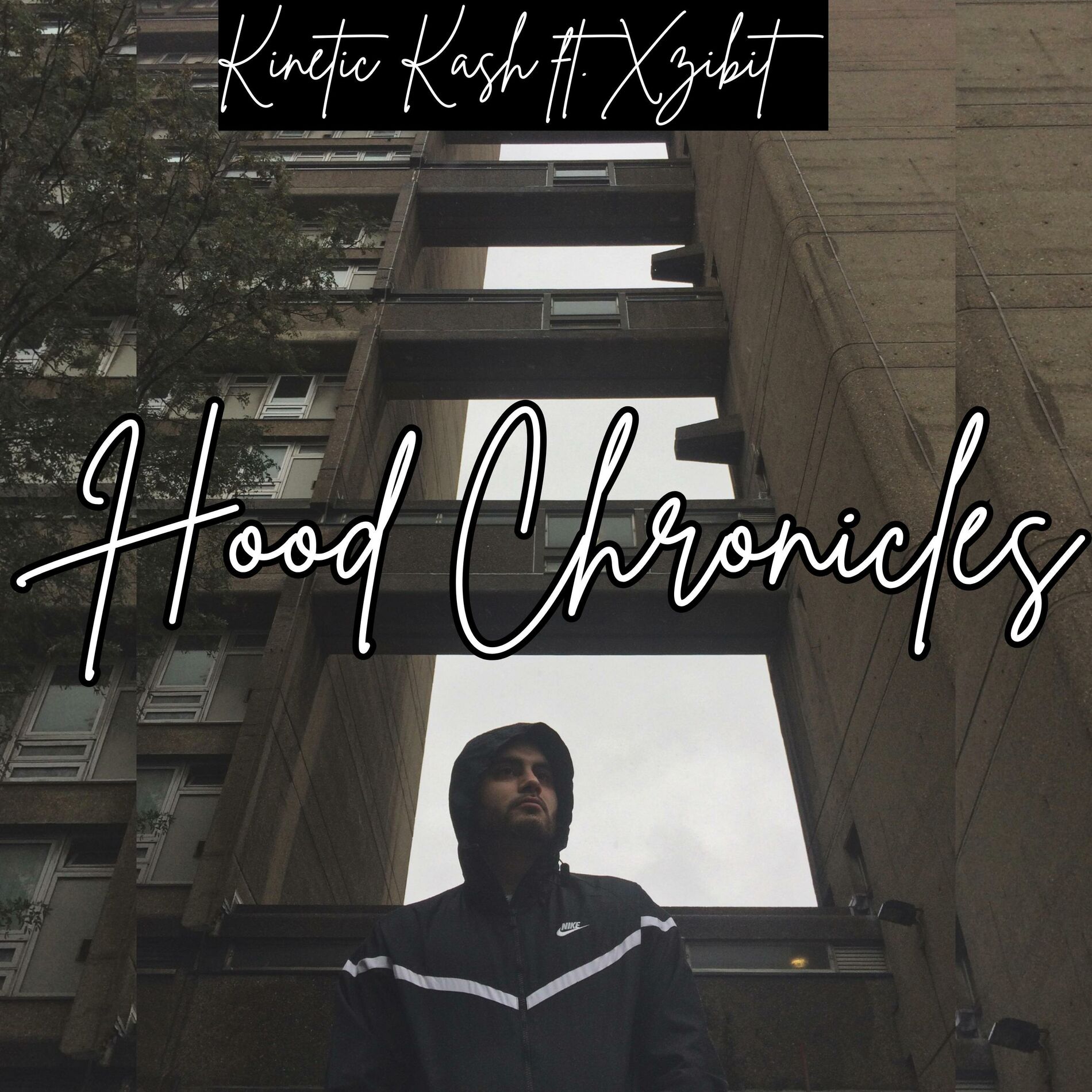 Album cover of Hood Chronicles (feat. Xzibit)