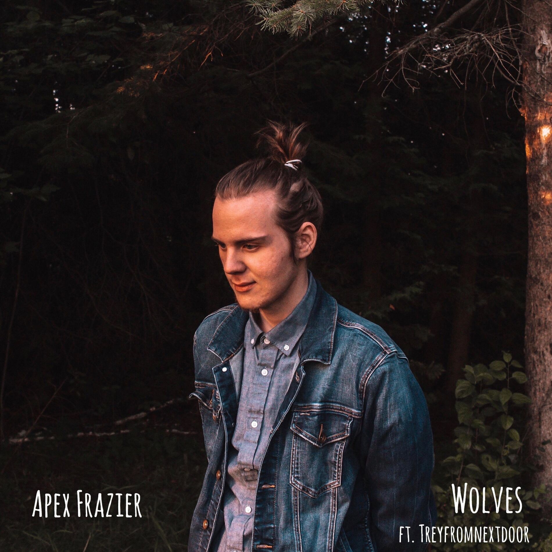 Album cover of Wolves (feat. Treyfromnextdoor)