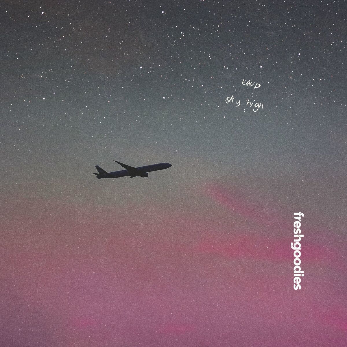 Album cover of sky high