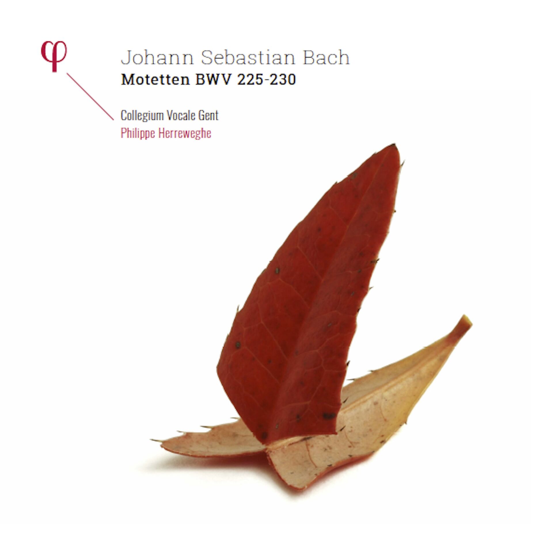 Album cover of Jesu, meine Freude, BWV 227: IV. Denn das Gesetz