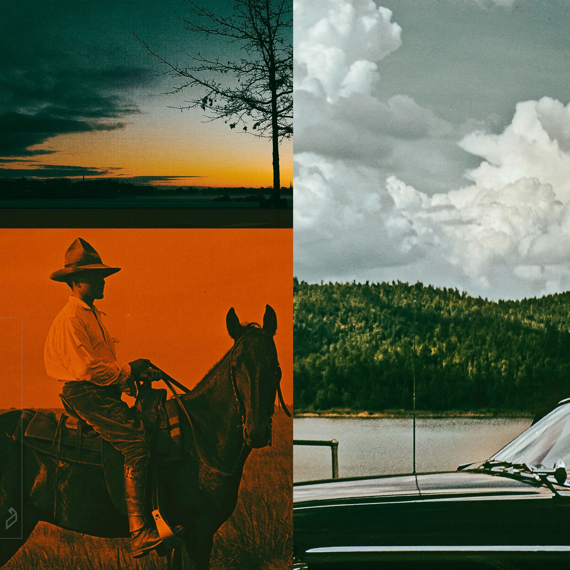 Album cover of Cowboy
