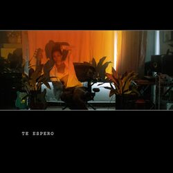 Cover of te espero