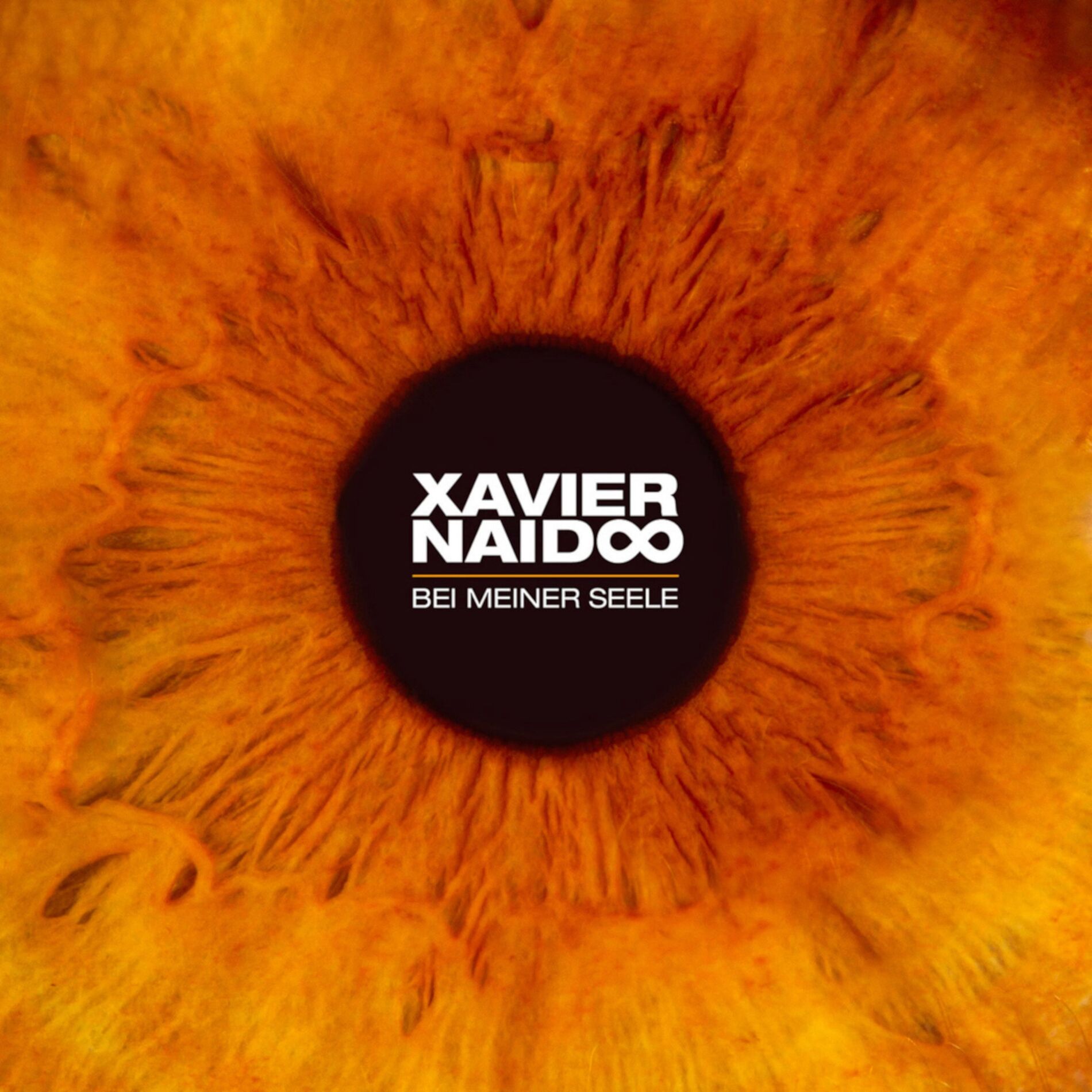 Album cover of Bei meiner Seele