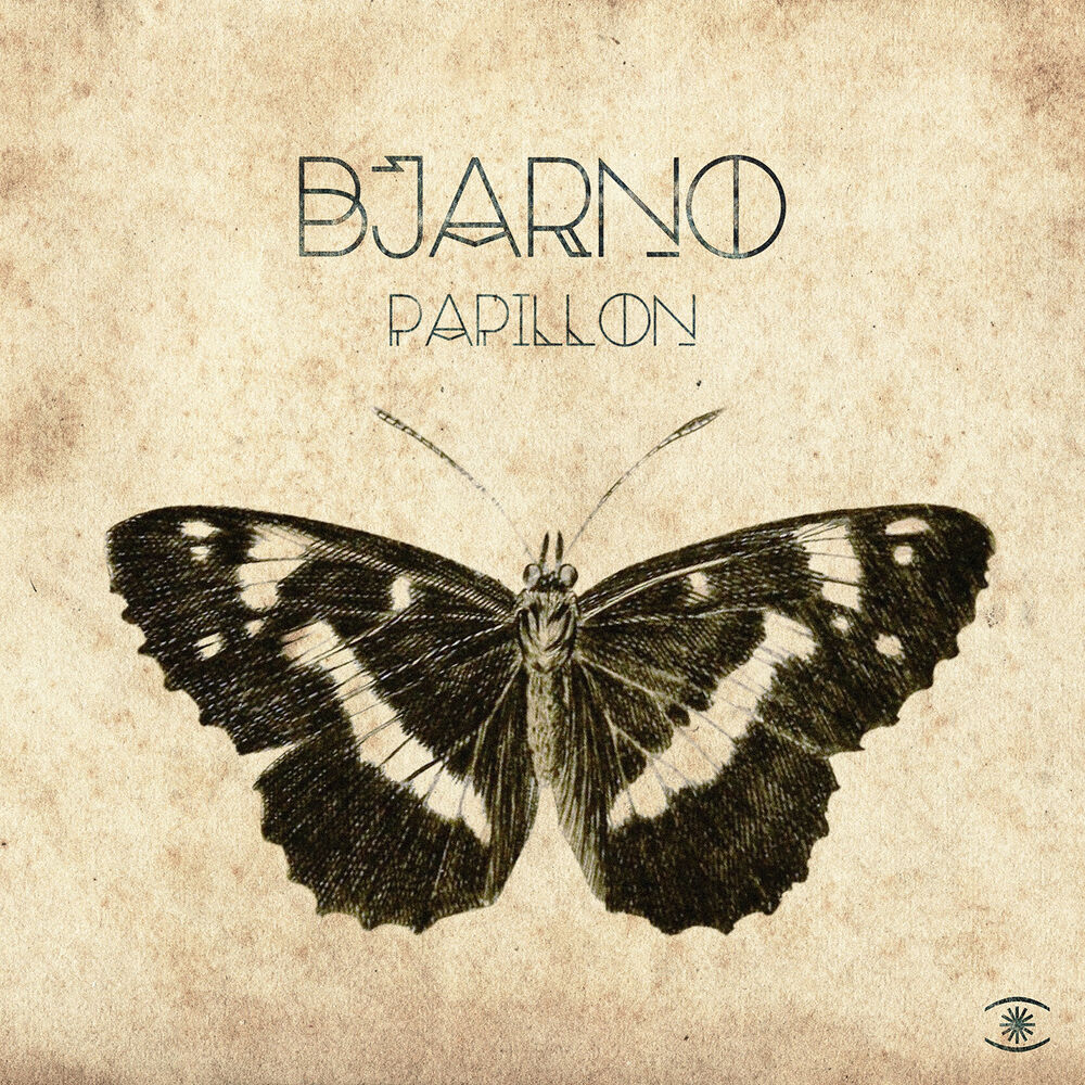 Picture of Papillon