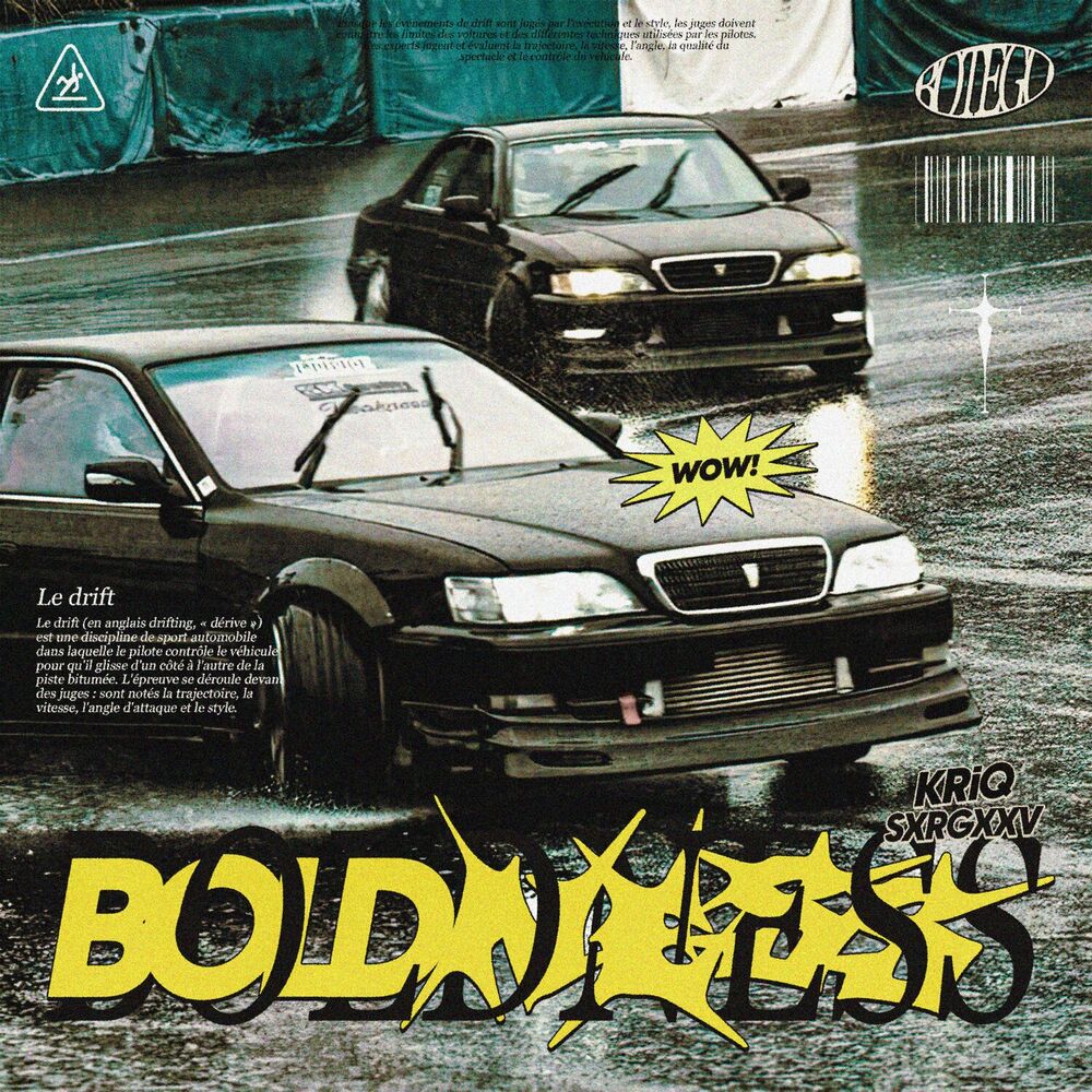 Picture of BOLDNESS