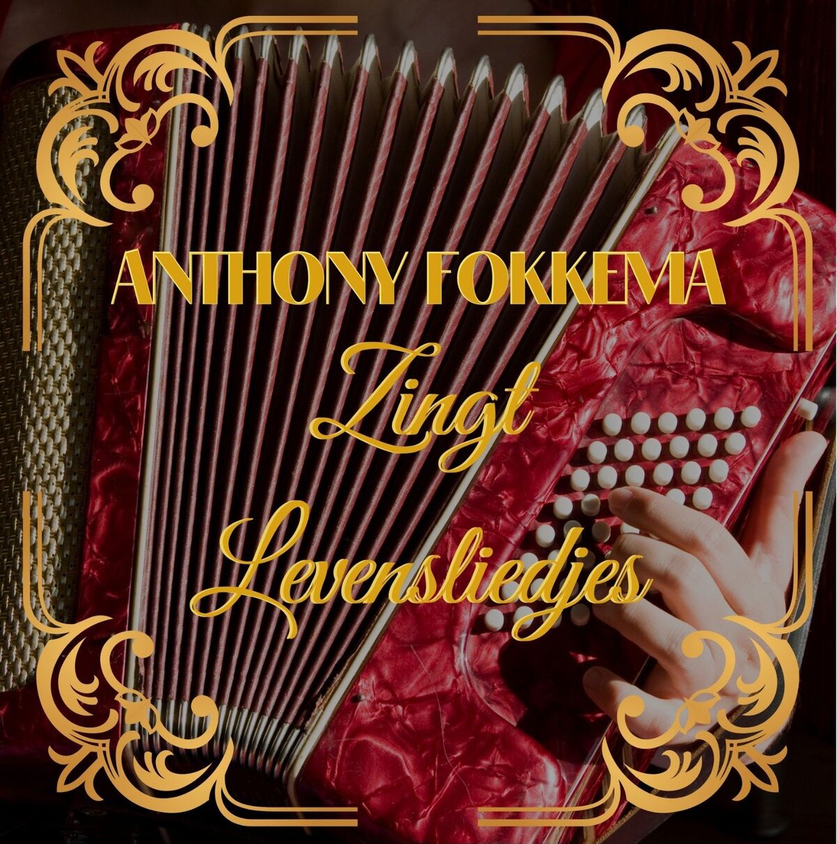 Album cover of Lucille