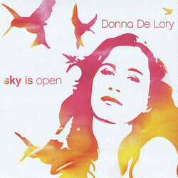 Cover of Sky Is Open