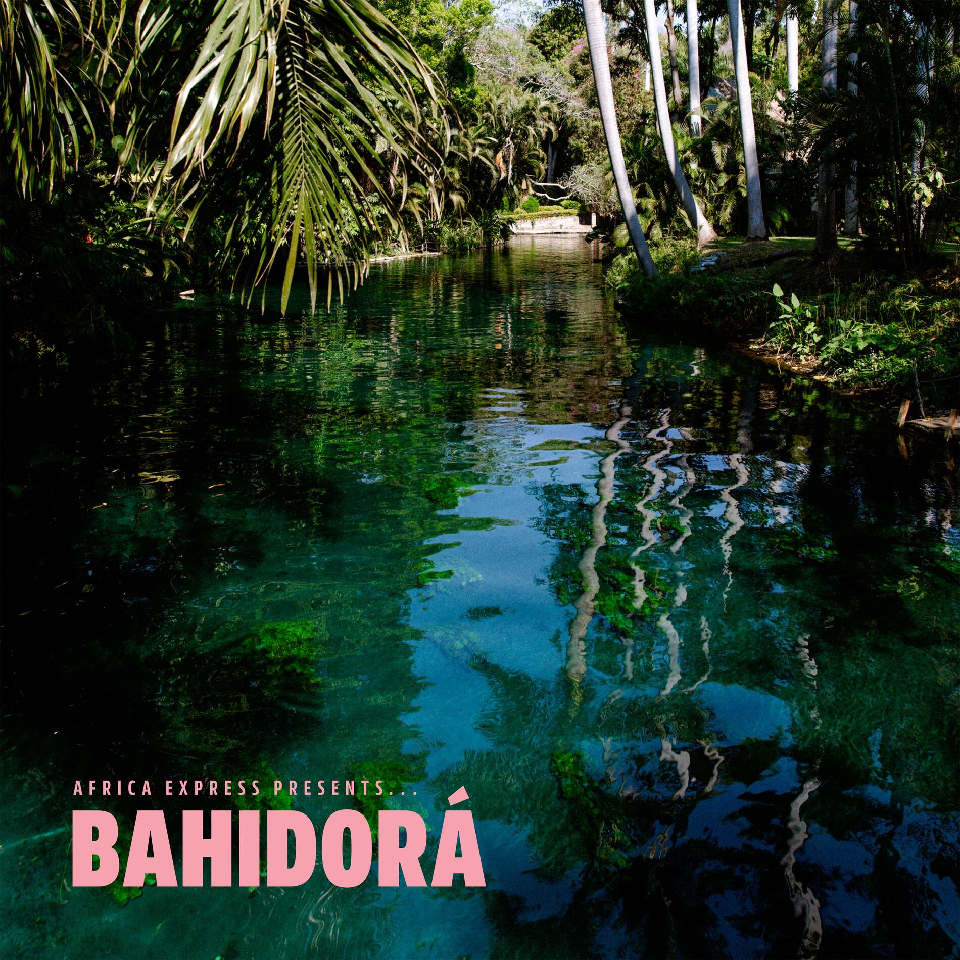 Album cover of Africa Express Presents... Bahidorá