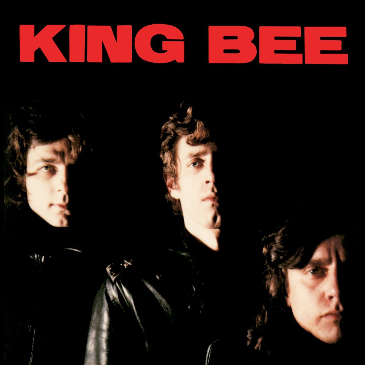 Album cover of King Bee