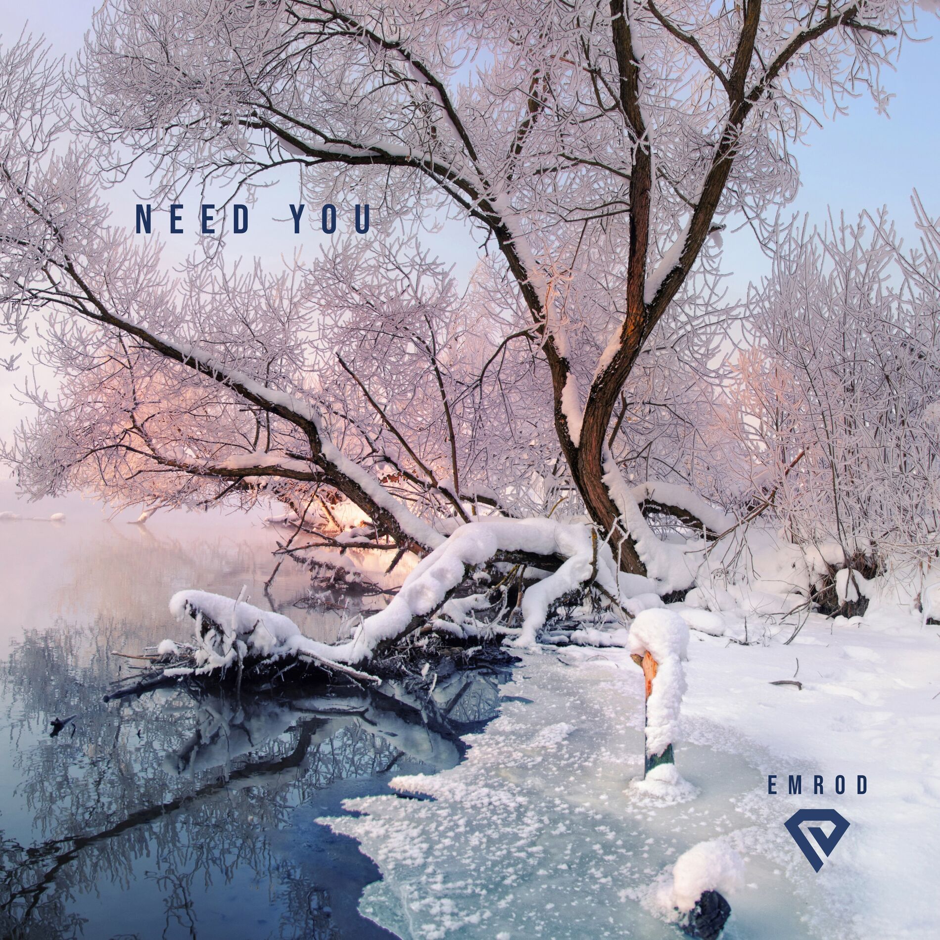 Album cover of Need you
